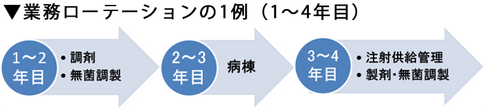 業務ローテーションの1例（1～4年目）